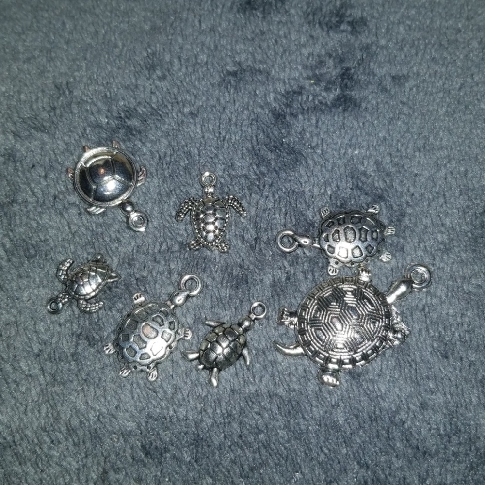 Turtle charms